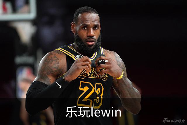 乐玩lewin公司简介